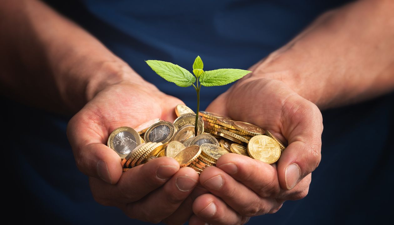 Naftali Zanziper: Architectural Excellence in Investment Portfolio Development